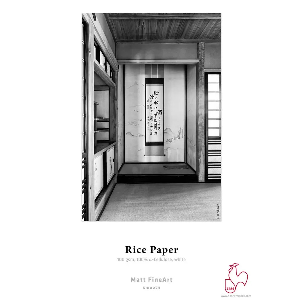 Hahnemühle Rice Paper 100gr 44" v:5928374