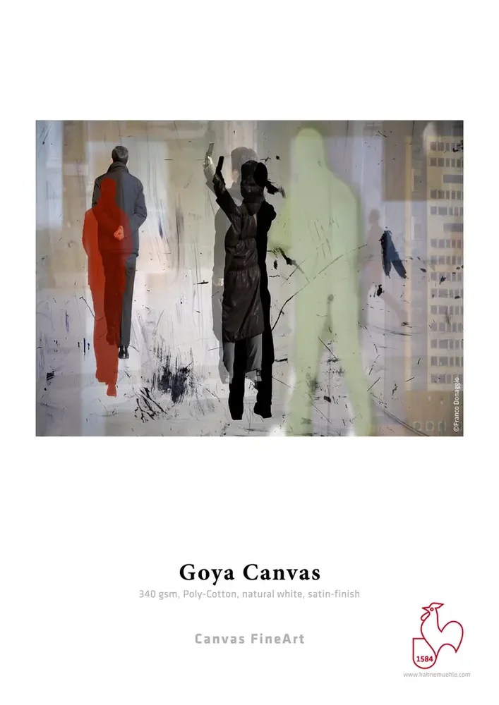 Hahnemühle Goya Canvas 340gr v:7476330