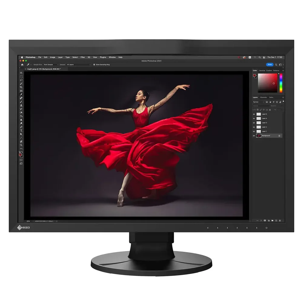 Eizo ColorEdge CG2400S 24" SRGB v:5972157